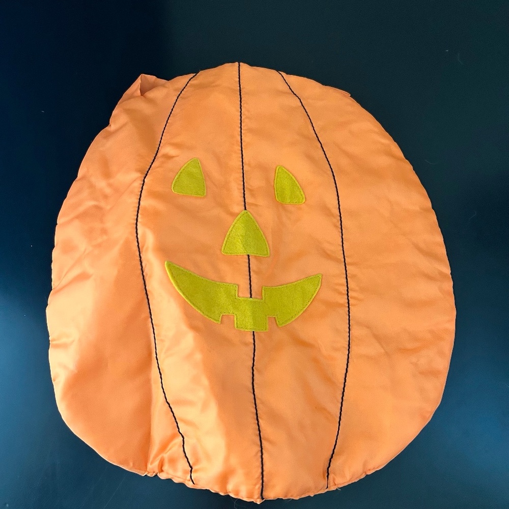 Dog Jack o Lantern Costume. NWOT